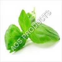Natural Linalool Ex. Basil