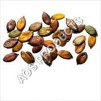 Pumpkin Seed Carrier Oil