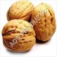 Walnut Carrier Oil Age Group: Adults