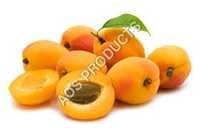 Apricot Oil
