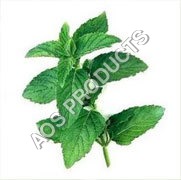 Peppermint Oil Ingredients: Chemicals