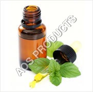 Botanical Product Mentha Arvensis Oil