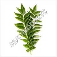 Curry Leaf Oil - Pure Essential Oil, 100% Natural Quality For All Age Groups | Ideal For Hair Growth, Skin Health, And Aromatherapy Benefits