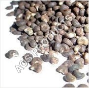 Ambrette Seed Oil