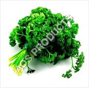 Parsley Seed Oil