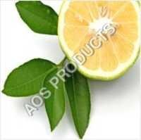 Bergamot Essential Oil Age Group: Old Age