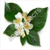 Neroli Oil