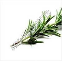 Rosemary Essential Oil
