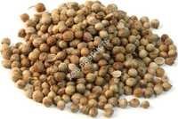 Coriander Oil Cas No: 8008-52-4.