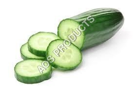 Cucumber Oil Ingredients: Herbal Extract