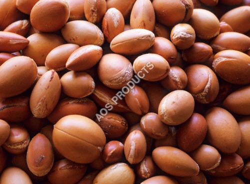Argan Oil