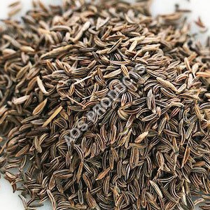 Cumin Oil