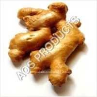 Ginger Oil