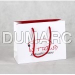 Paper Shopping Bag Paper Shopping Bag