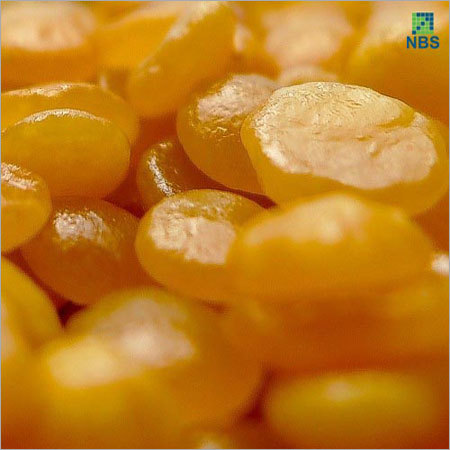 Pigeon Pea (Toor Dal)