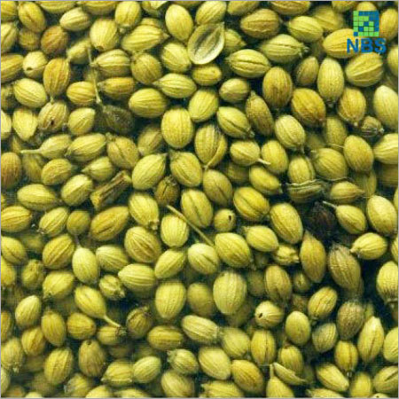 Coriander Seeds (Dhaniya)