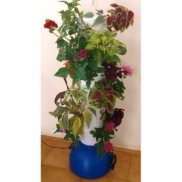 Vertical Vegetable Gardening Plants
