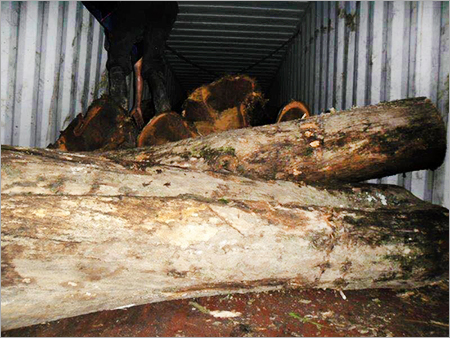 Teak Wood