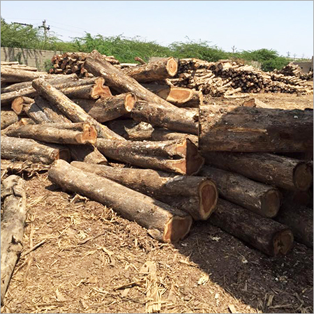 Sudan Teak Wood