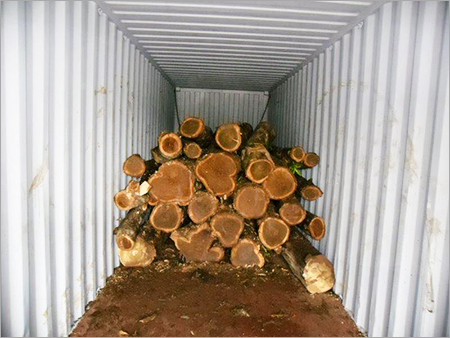 Tropical Hardwood