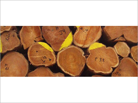 Sal Wood Logs