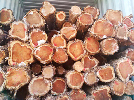 Malaysian Teak Wood Logs