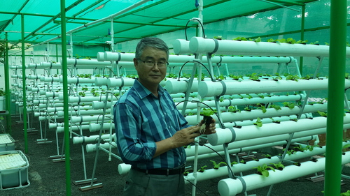 Hydroponic System