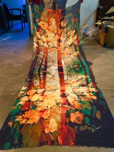 Abstract Art Digital Print Shawls - Pashmina Wool, Unisex Design in Alluring Patterns | Lightweight, Excellent Softness, Stylish Elegance