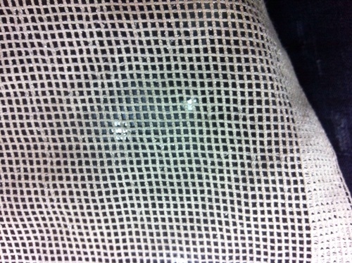 Cotton Jacquard