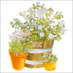 Flat Hose Water Sprayer