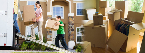 Household Packer Mover