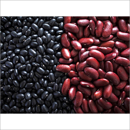 Quality Red And Black Kidney Beans