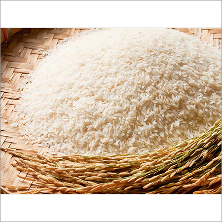 Rice