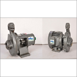 Centrifugal Cast Iron Bare Pump