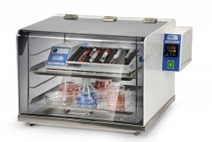 Incubation chamber BOXCULT-N2