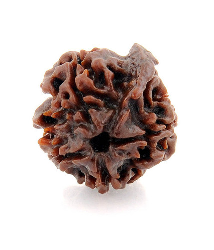 Ganesha Rudraksha