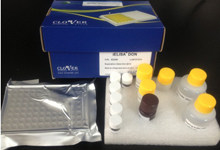 Deoxynivalenol Analyzer