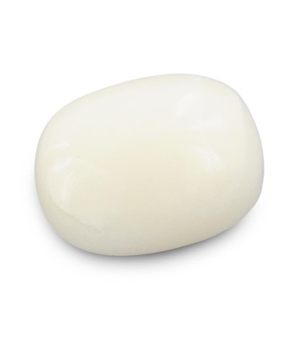 White Coral Gemstone