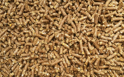 Grain feed