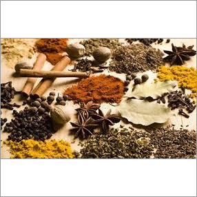 Indian Spices