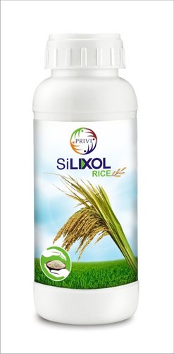 Rice Plant Growth Regulator