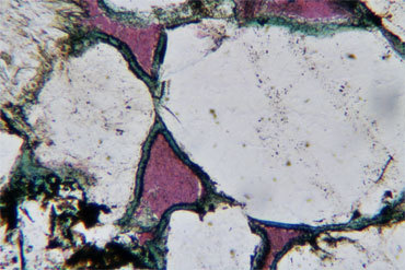 Petrographic Analysis