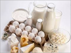 Dairy Products