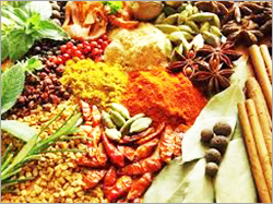 Cooking Spices