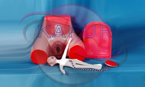 Doll With Placenta Models