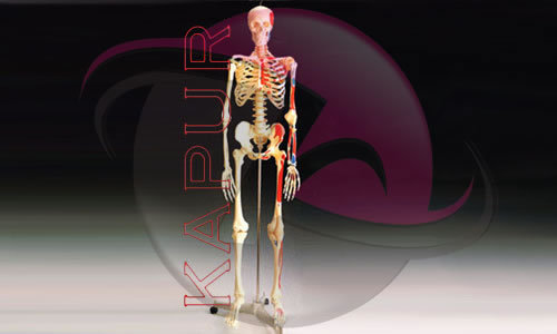 Biology Lab Equipments
