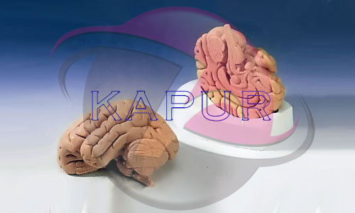 Biology Lab Equipments
