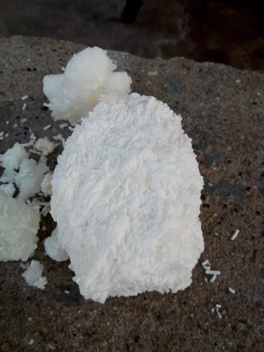 sls powder