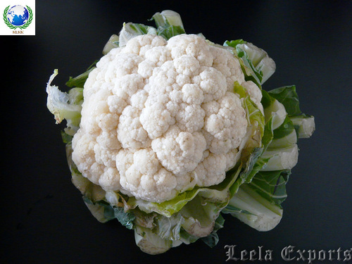 cauli flower vegetable