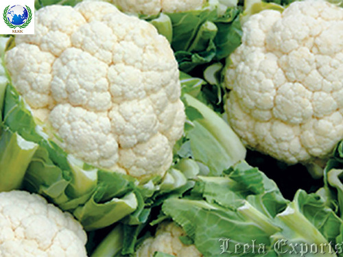 fresh cauliflower